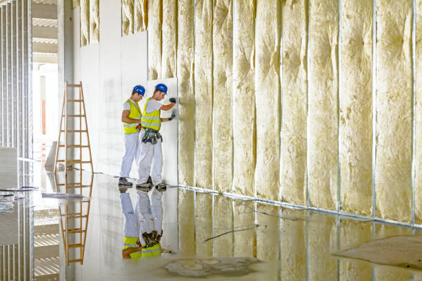 Best Types of Insulation in West Mayfield, PA